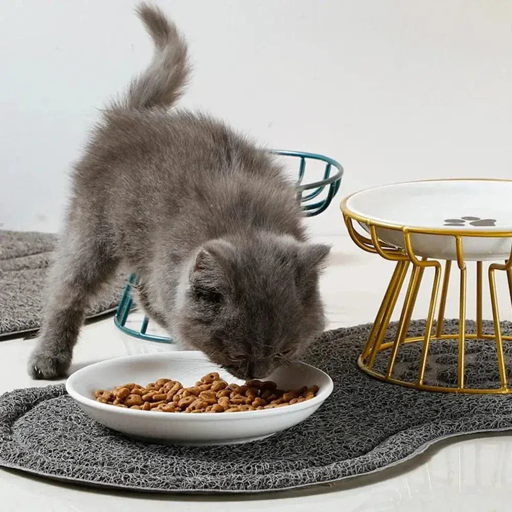 Elevated ceramic cat bowl