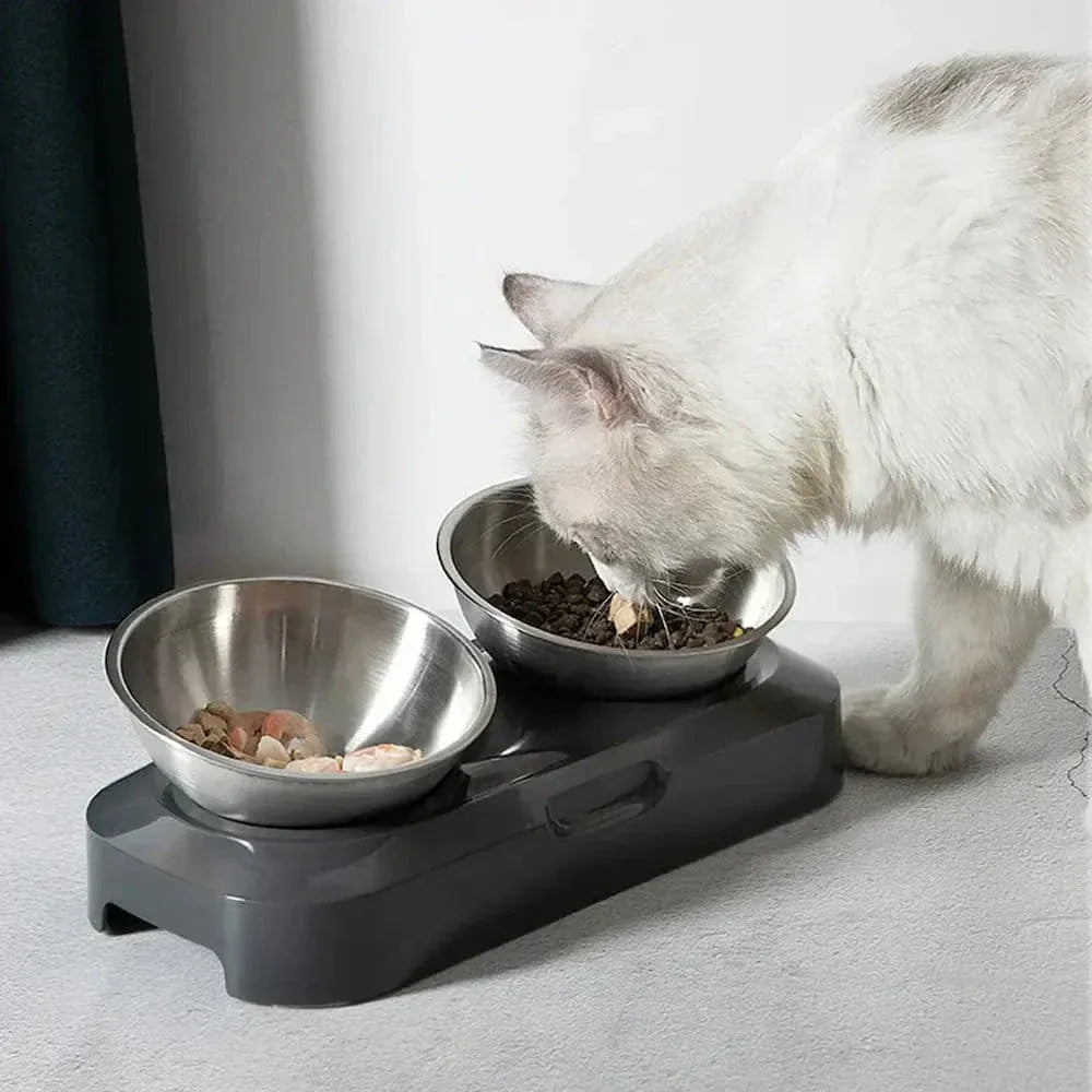 Elevated stainless steel cat bowl