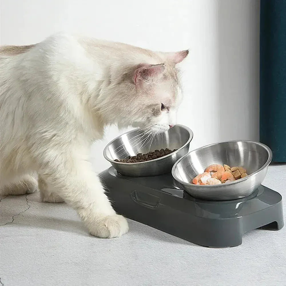 Elevated stainless steel cat bowl