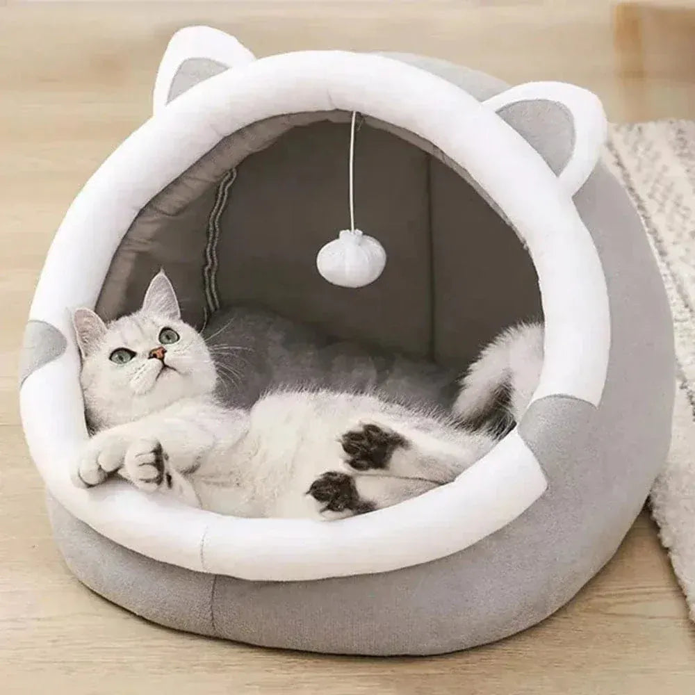 Enclosed Cat Bed