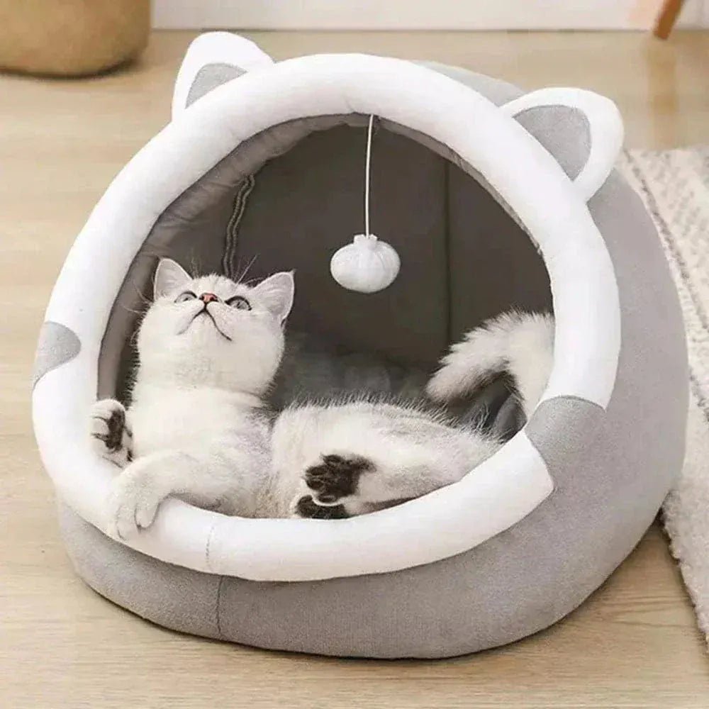 Enclosed Cat Bed