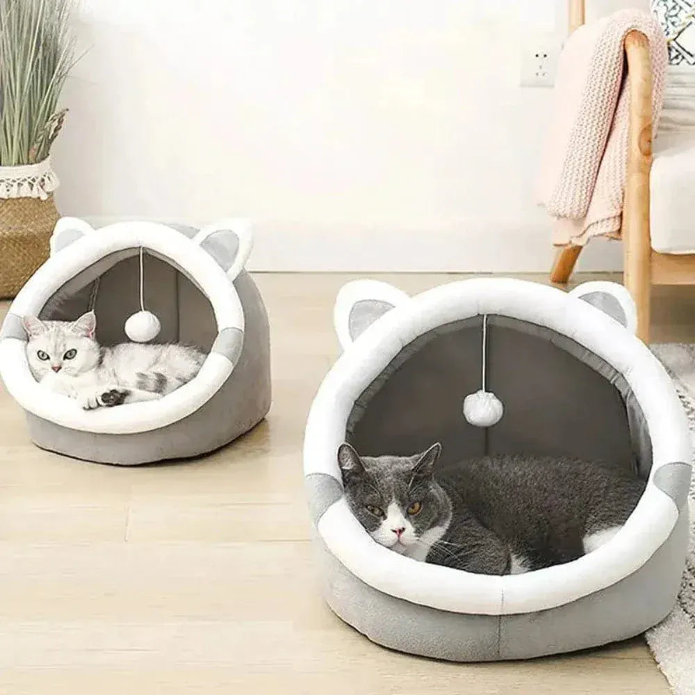 Enclosed Cat Bed