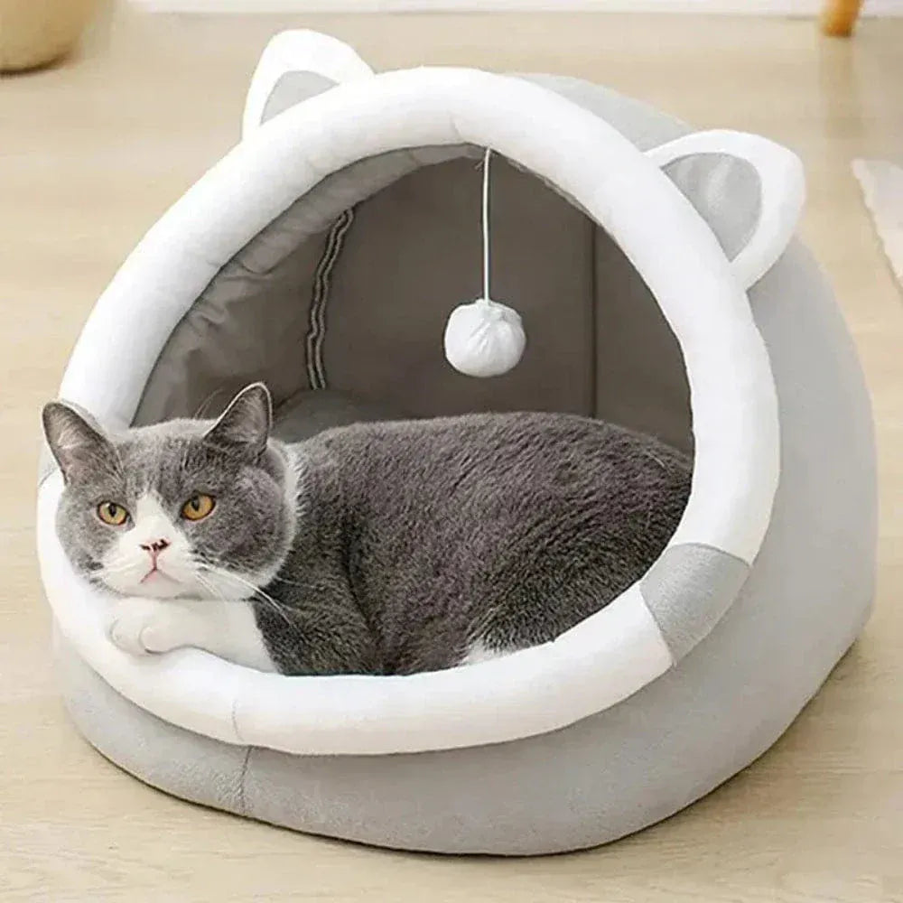 Enclosed Cat Bed
