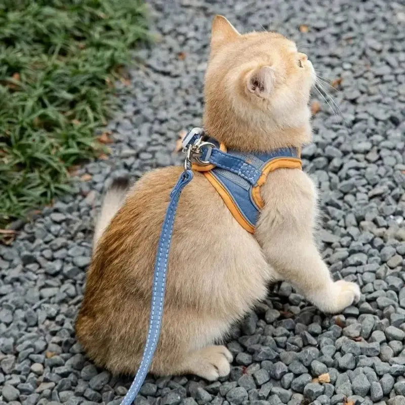 Fashion anti-escape cat harness