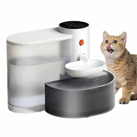 Filter-free cat water fountain