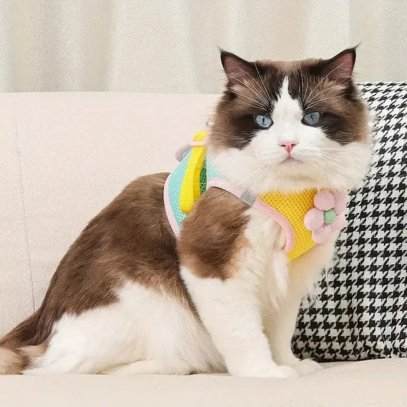 Floral cat harness