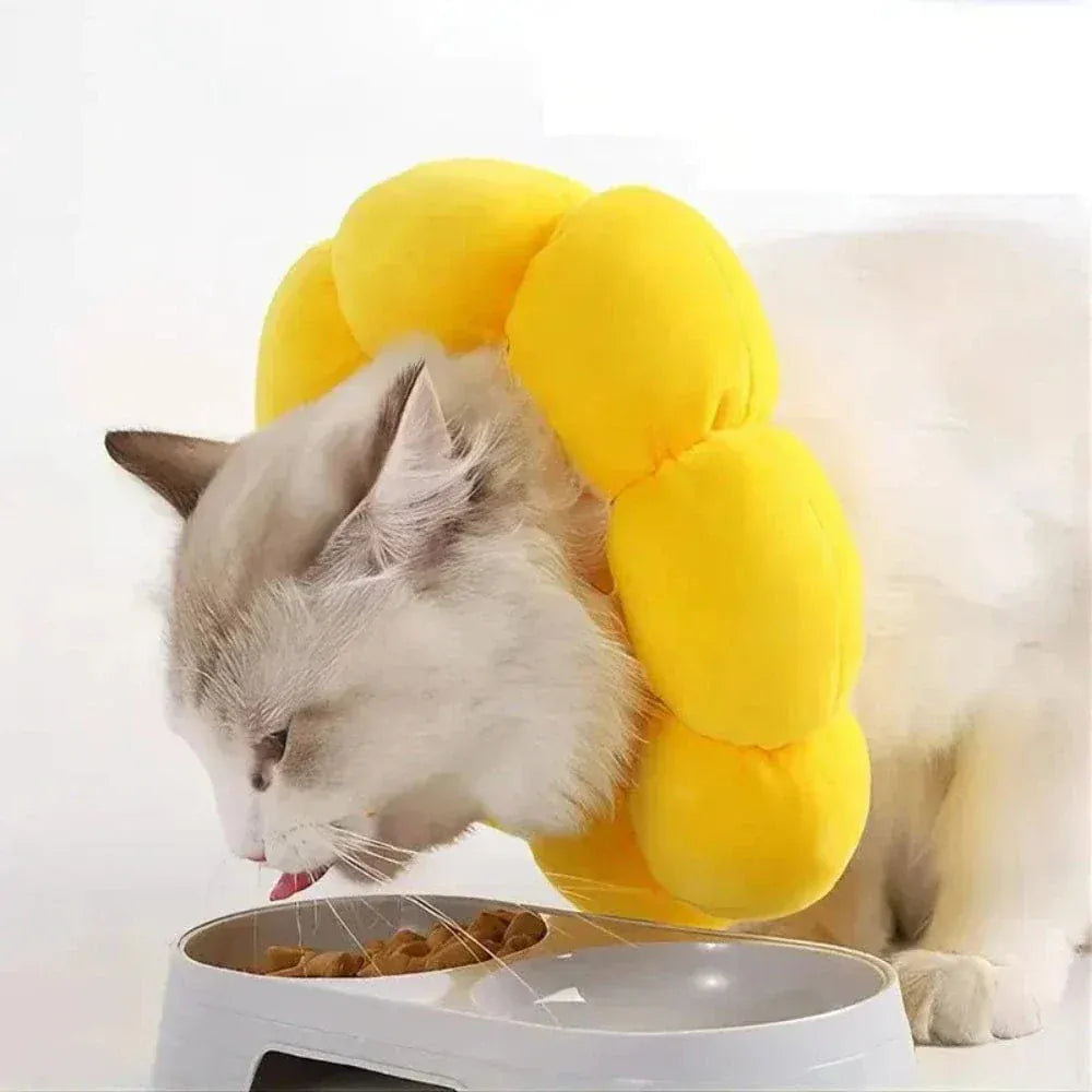 Flower cat recovery collar