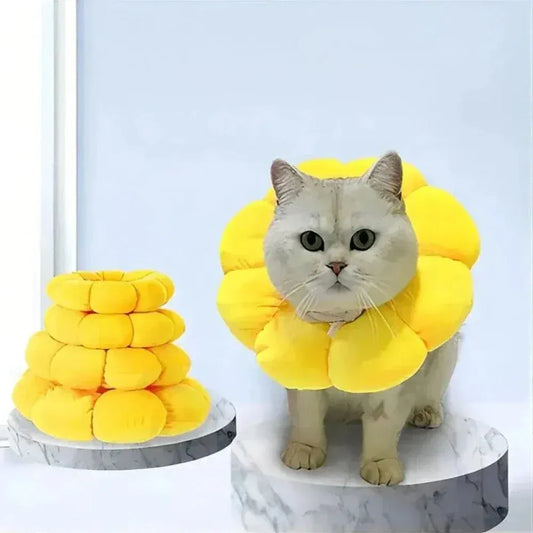 Flower cat recovery collar