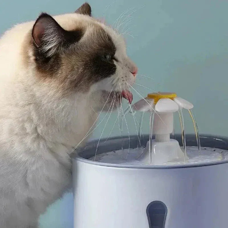 Flower cat water fountain