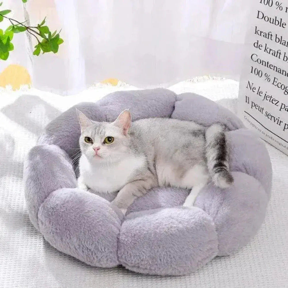 Flower-Shaped Cat Cushion – Absolute Comfort