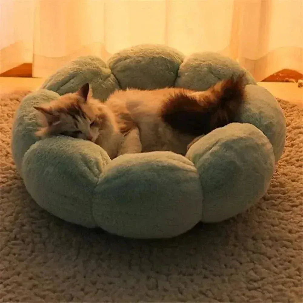 Flower-Shaped Cat Cushion – Absolute Comfort