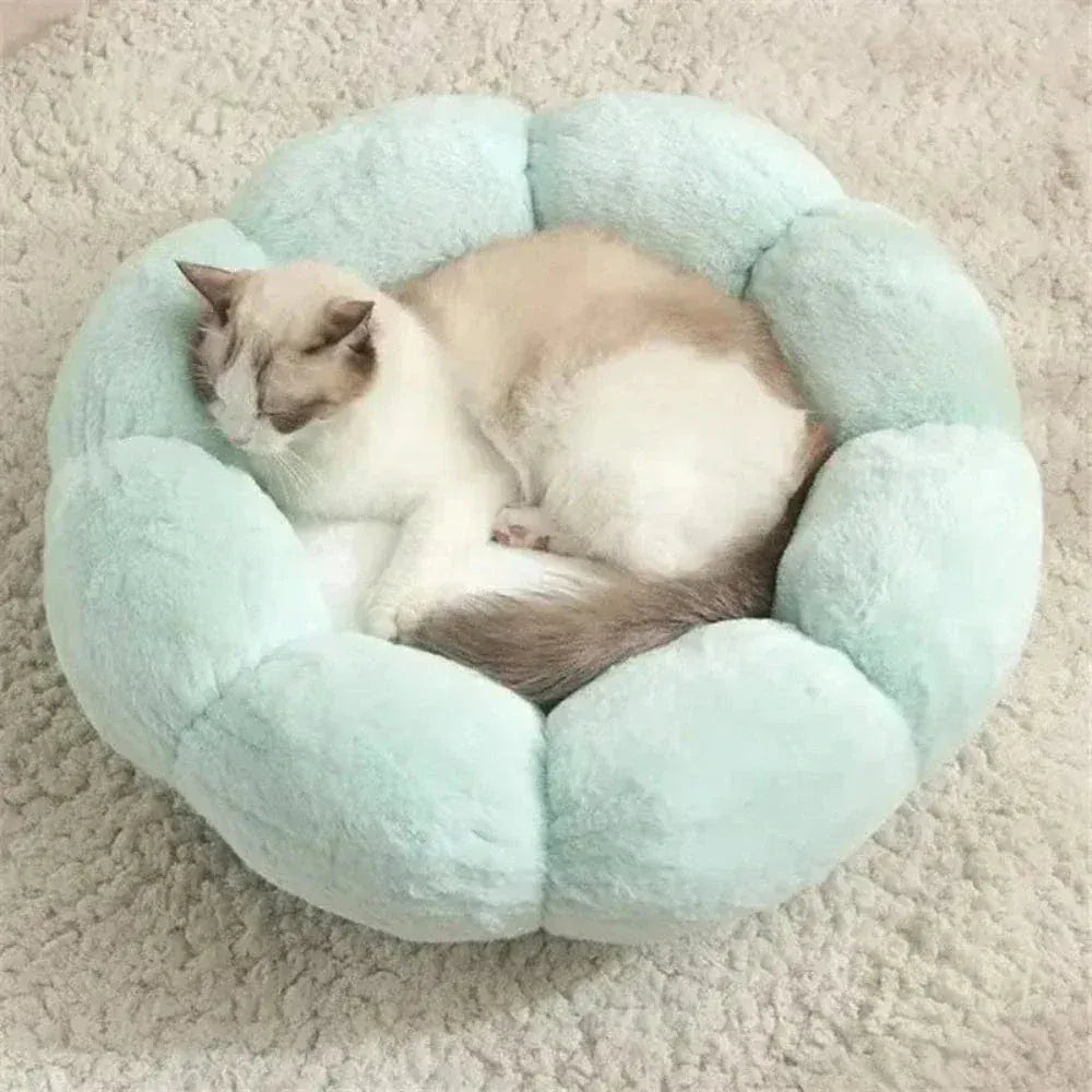 Flower-Shaped Cat Cushion – Absolute Comfort