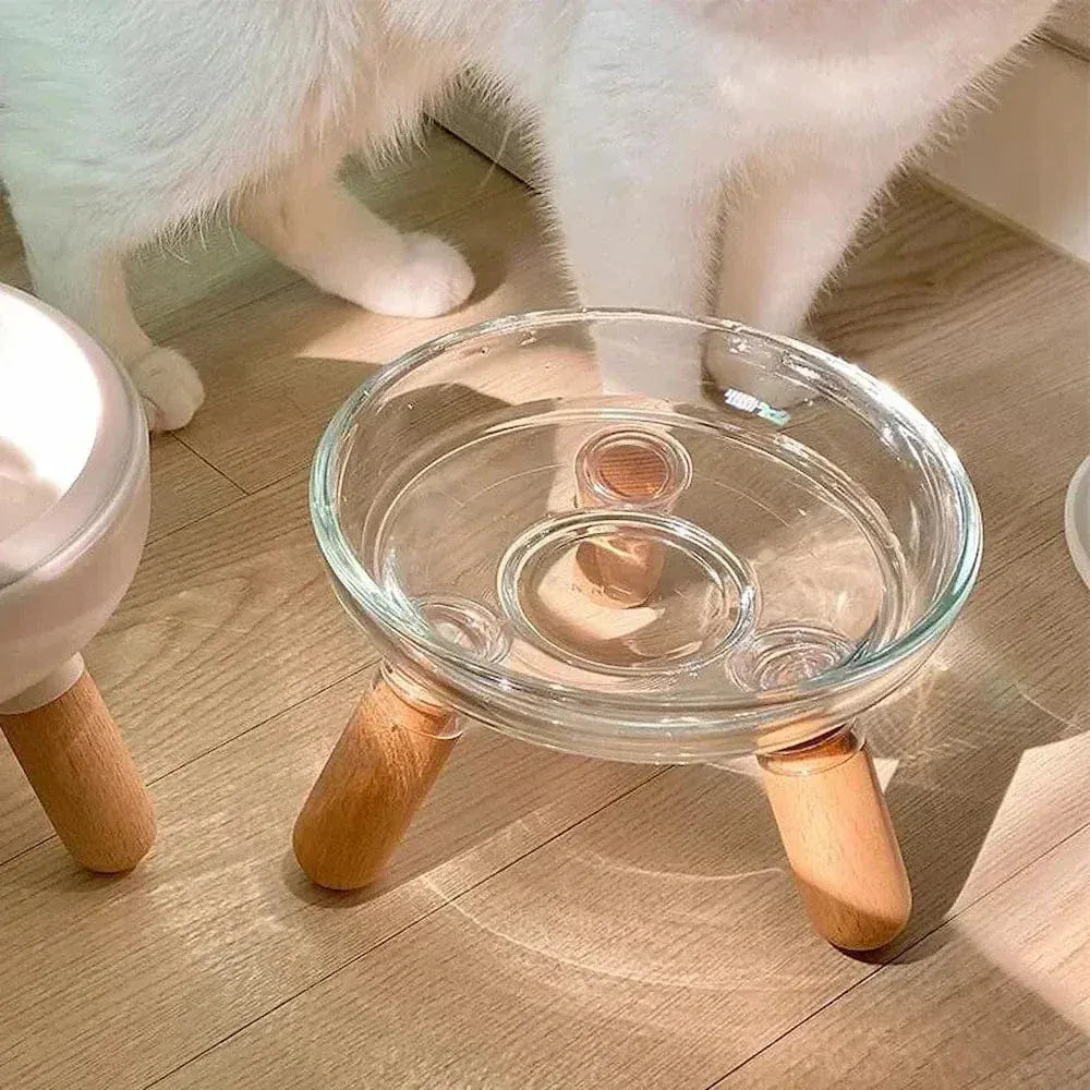 Glass cat bowl