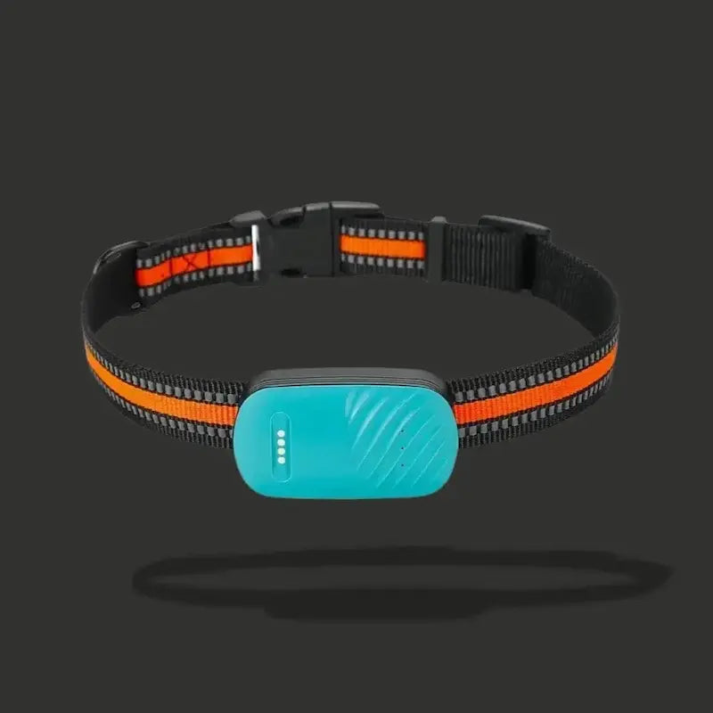 GPS Cat Collar – Zero Escape