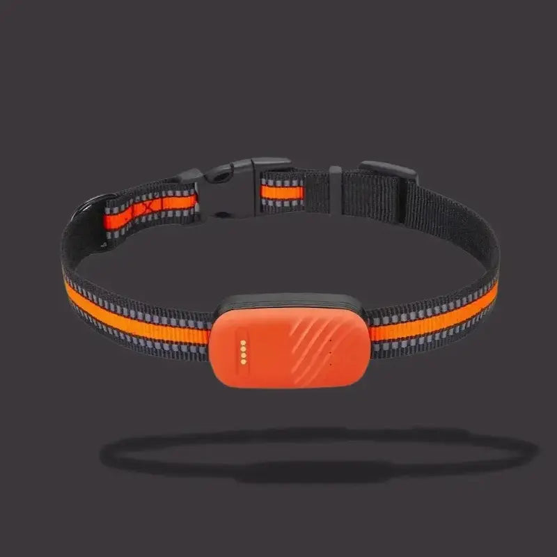 GPS Cat Collar – Zero Escape