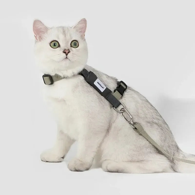 H-shaped cat harness