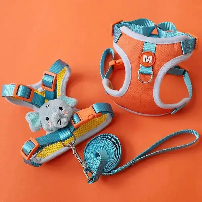 Harness for 3-month-old kitten