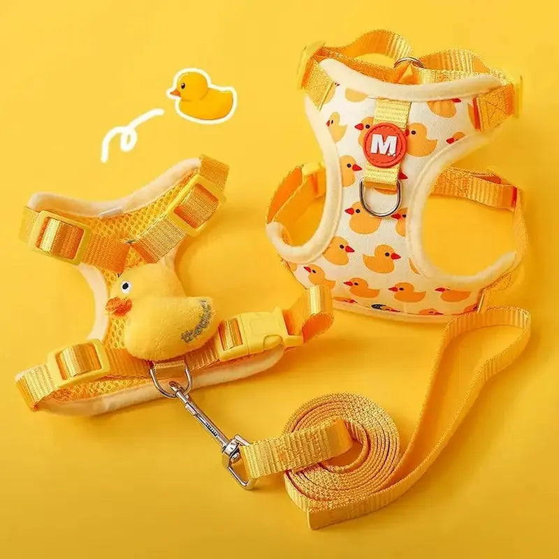 Harness for 3-month-old kitten