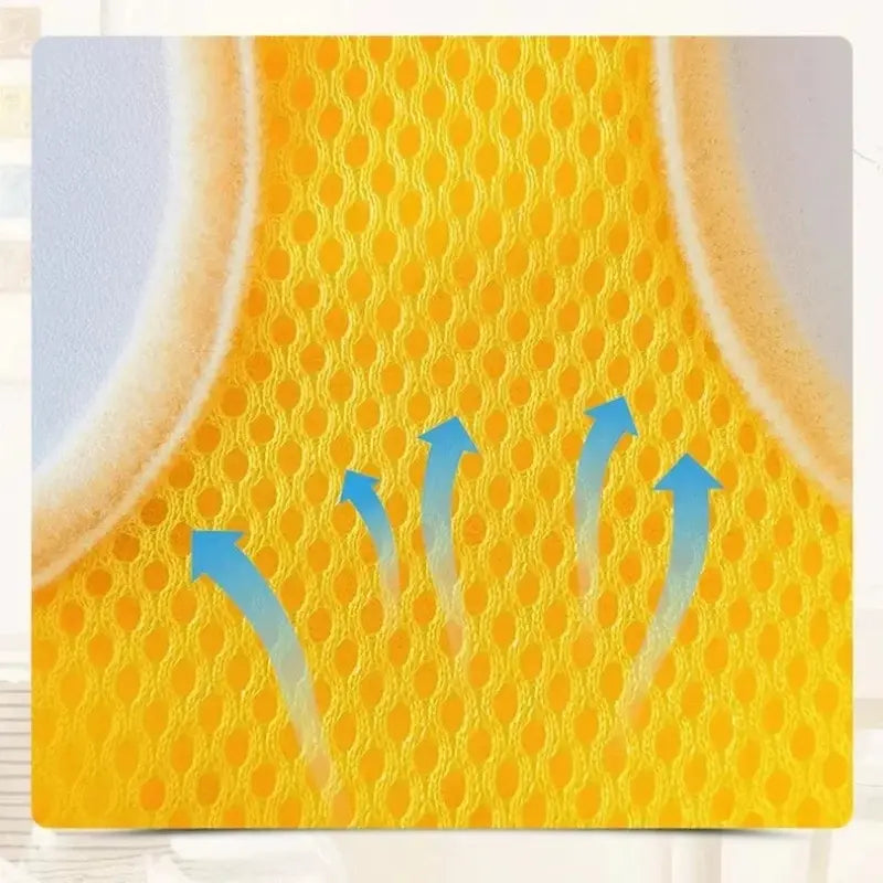 Harness for 3-month-old kitten