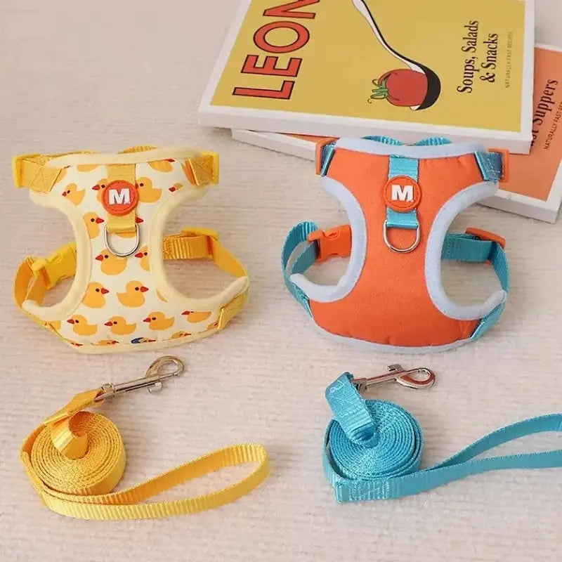 Harness for 3-month-old kitten