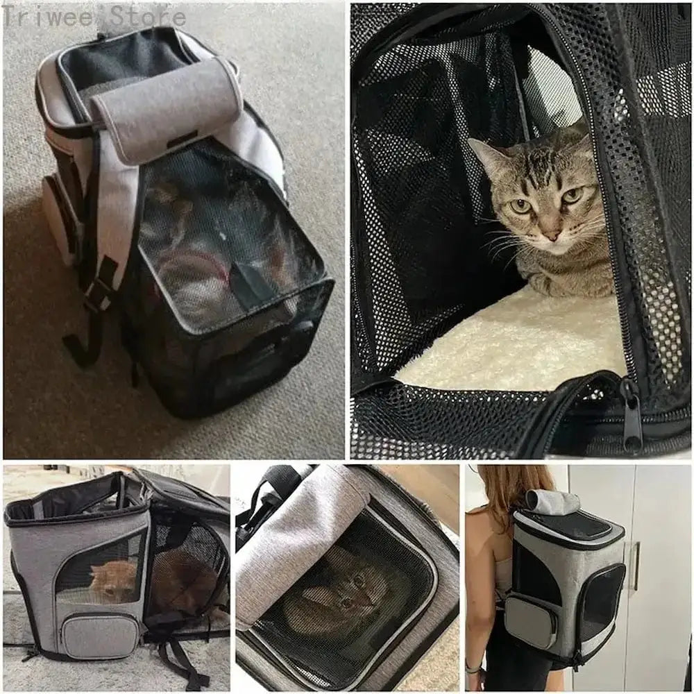 Hiking Cat Backpack