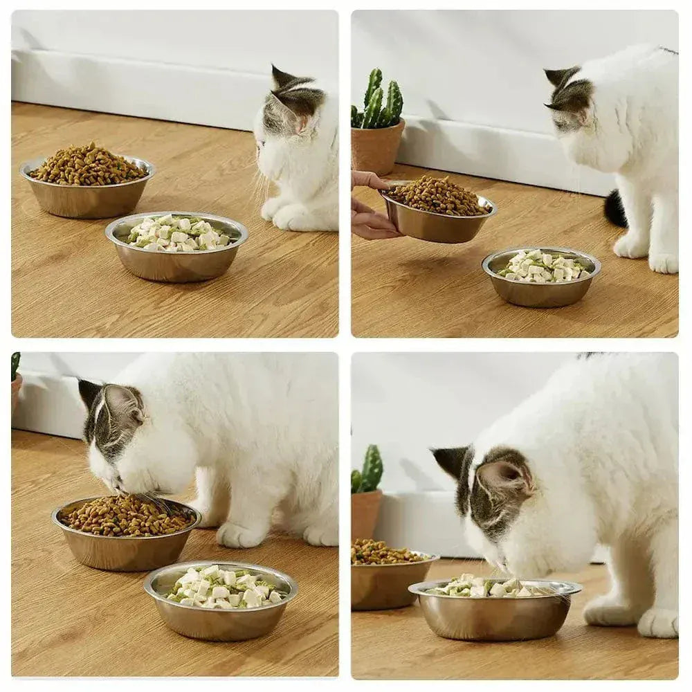 Hygienic stainless steel cat bowl