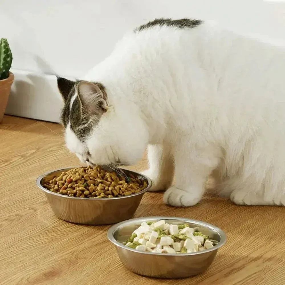 Hygienic stainless steel cat bowl