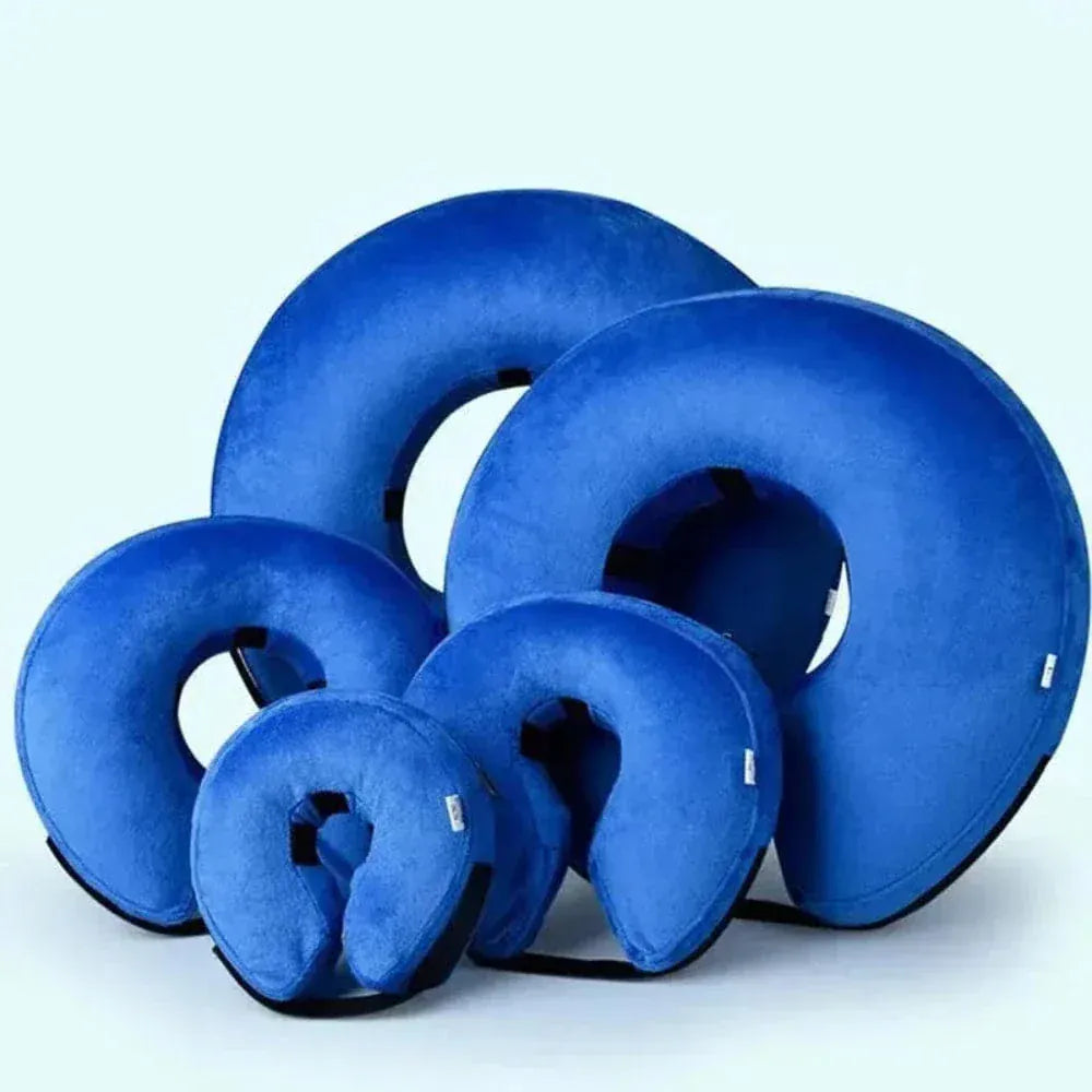 Inflatable cat collar