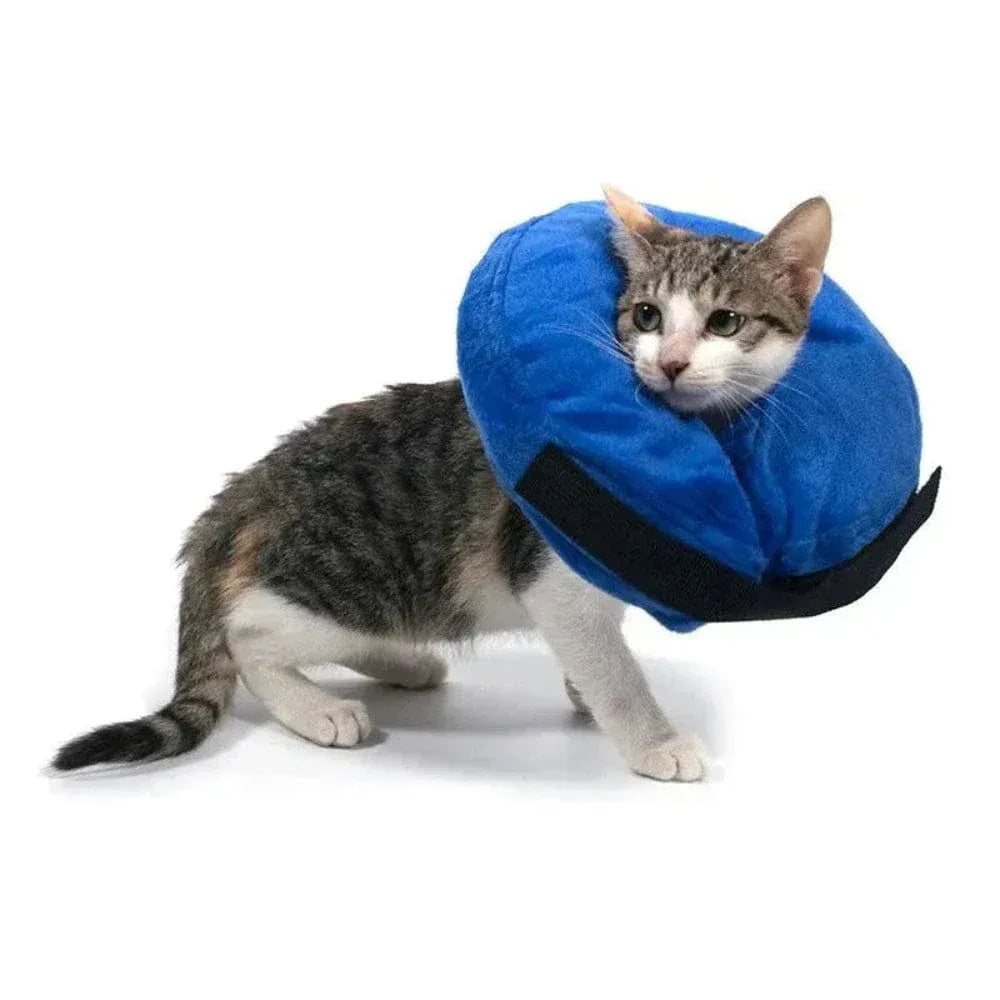 Inflatable cat collar