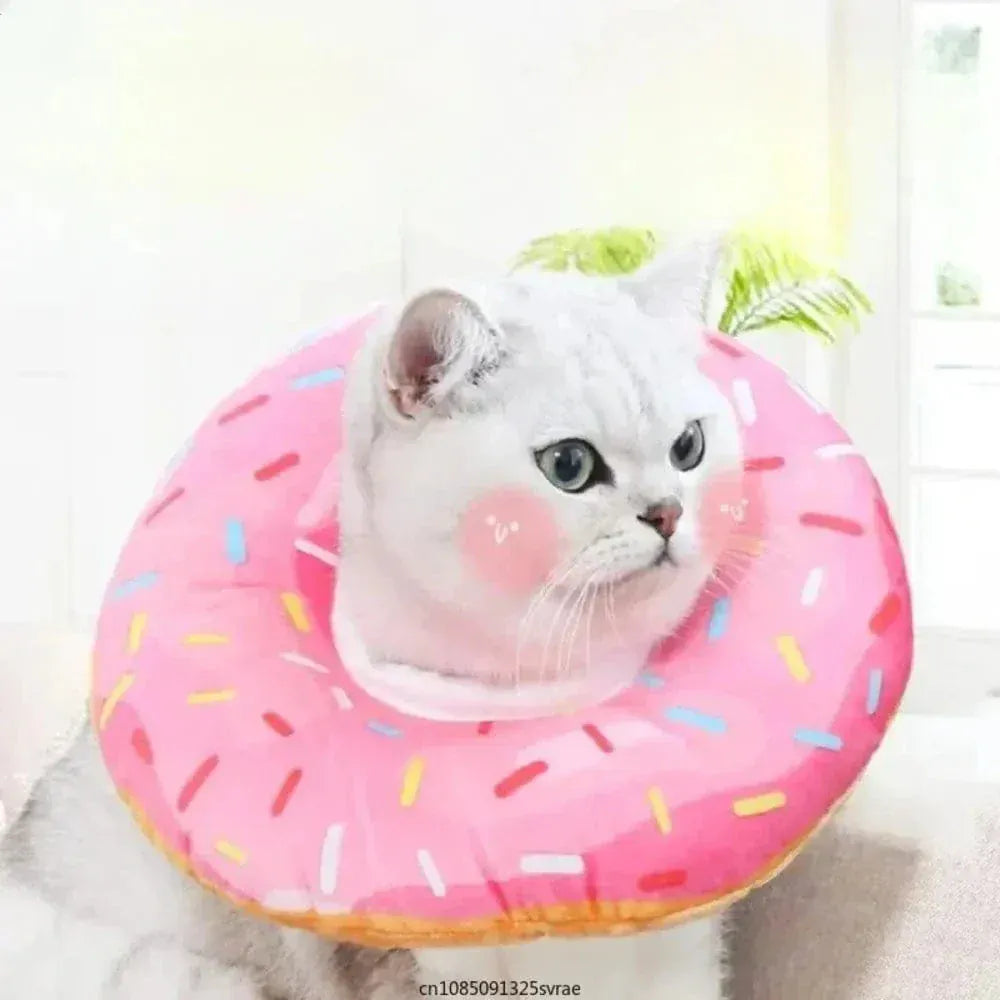 Inflatable recovery collar