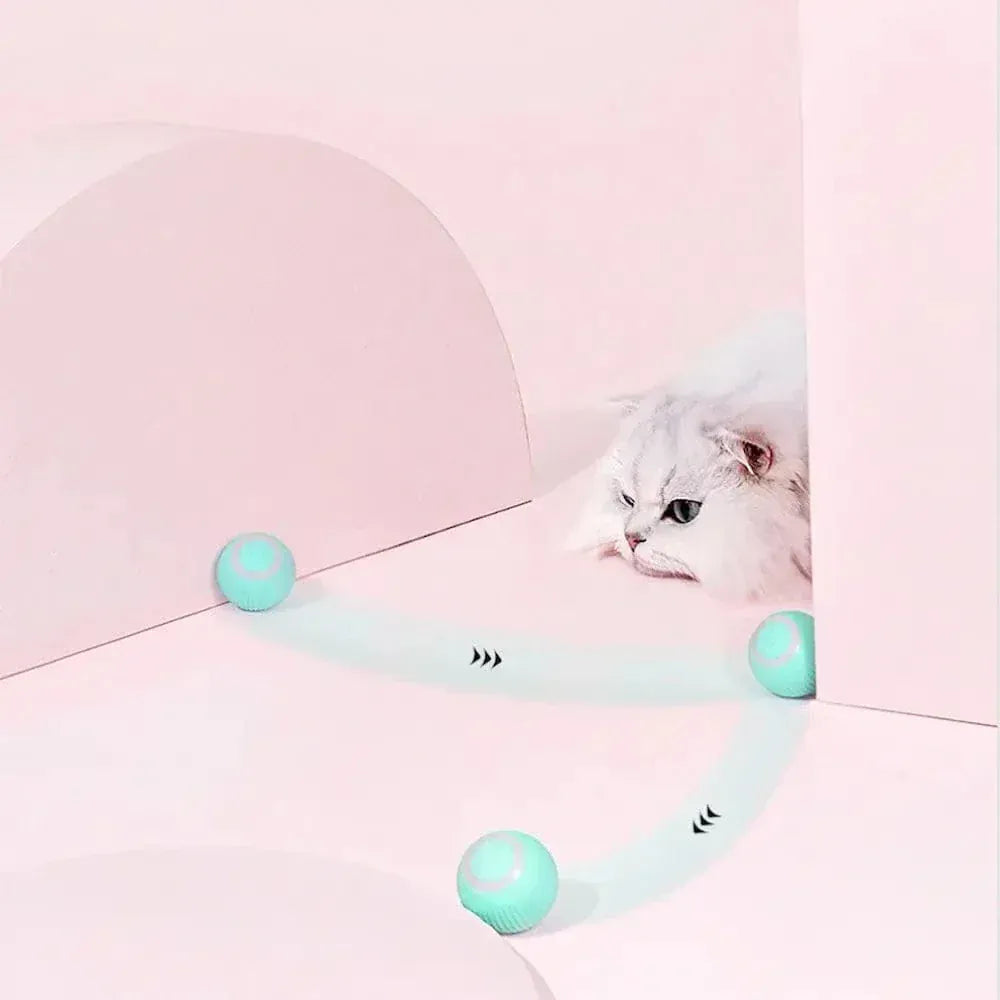 Interactive cat ball