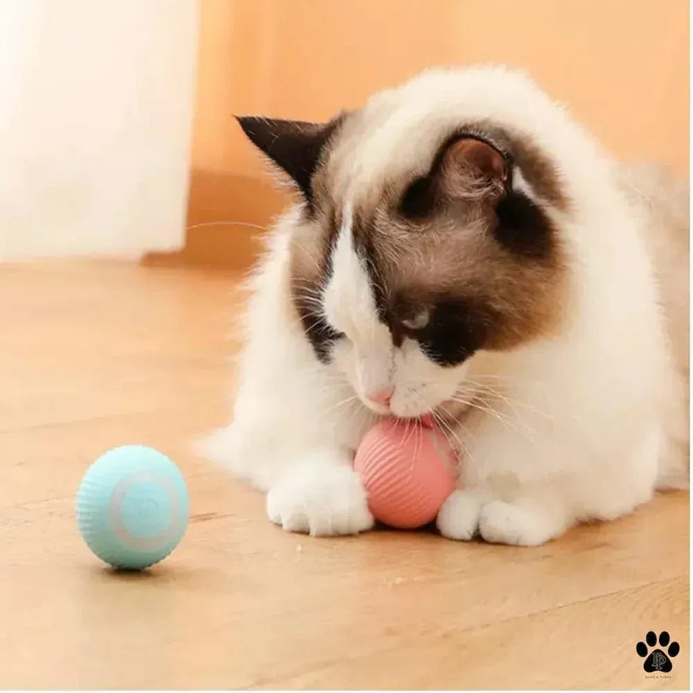 Interactive cat ball