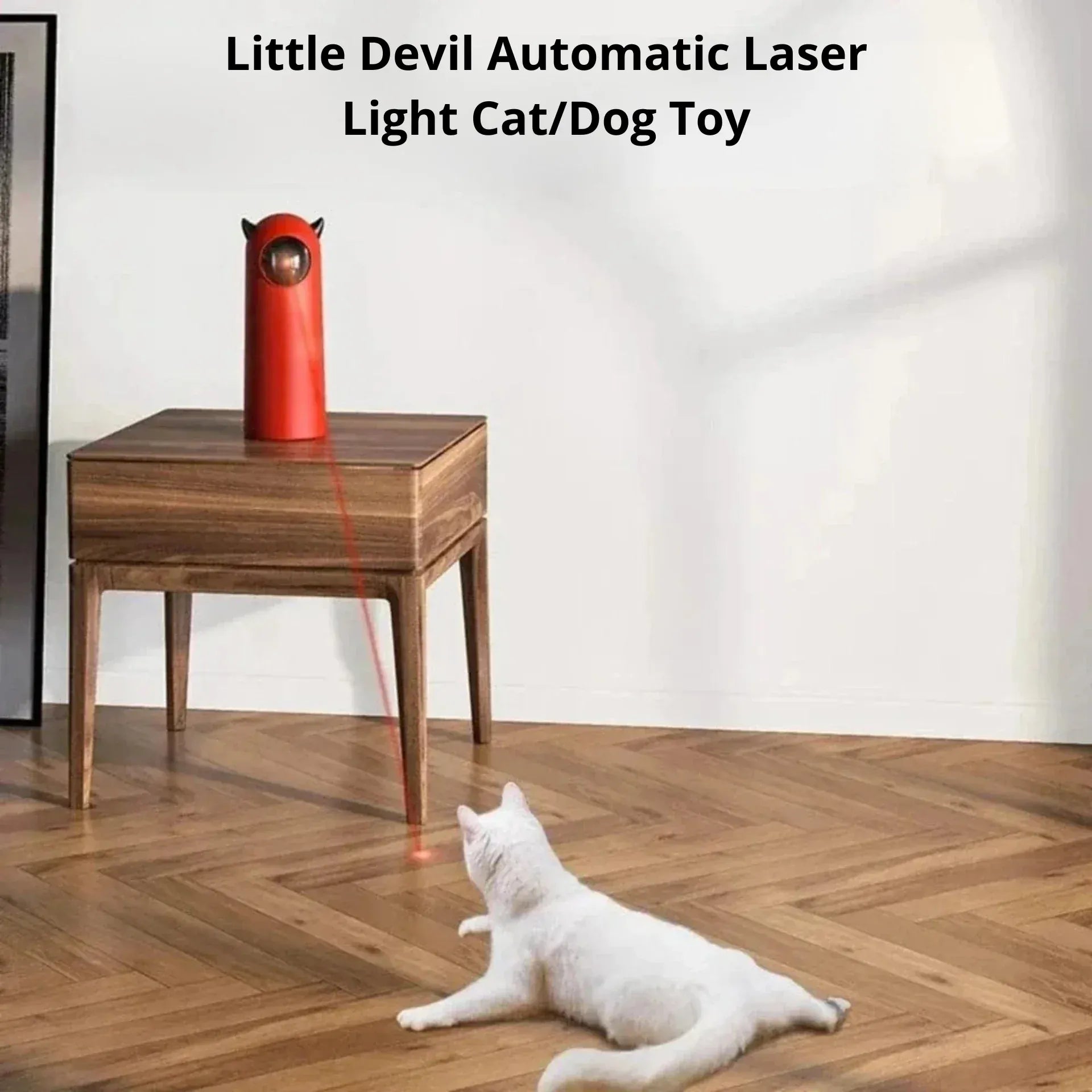 Interactive cat laser toy