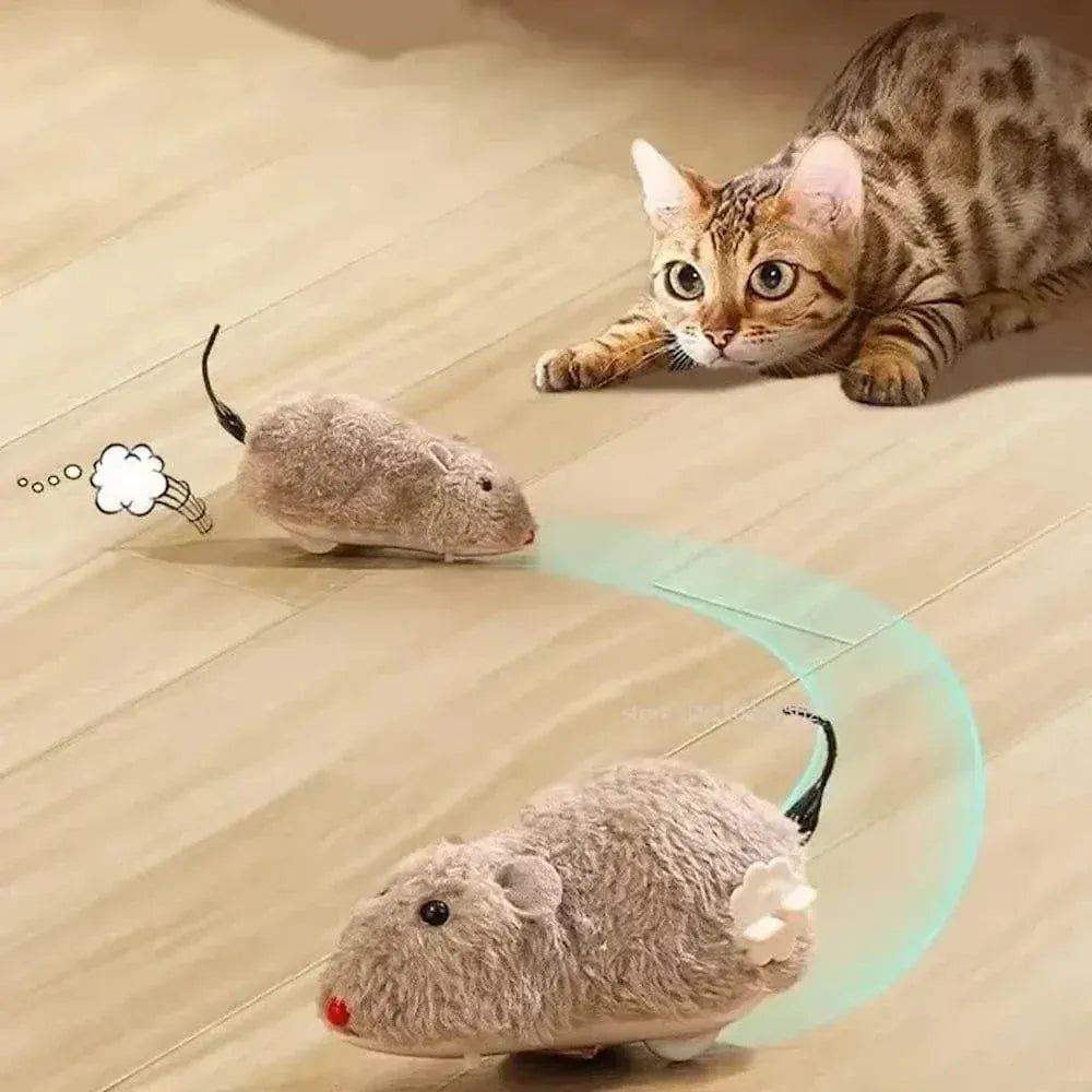 Interactive Cat Mouse Toy
