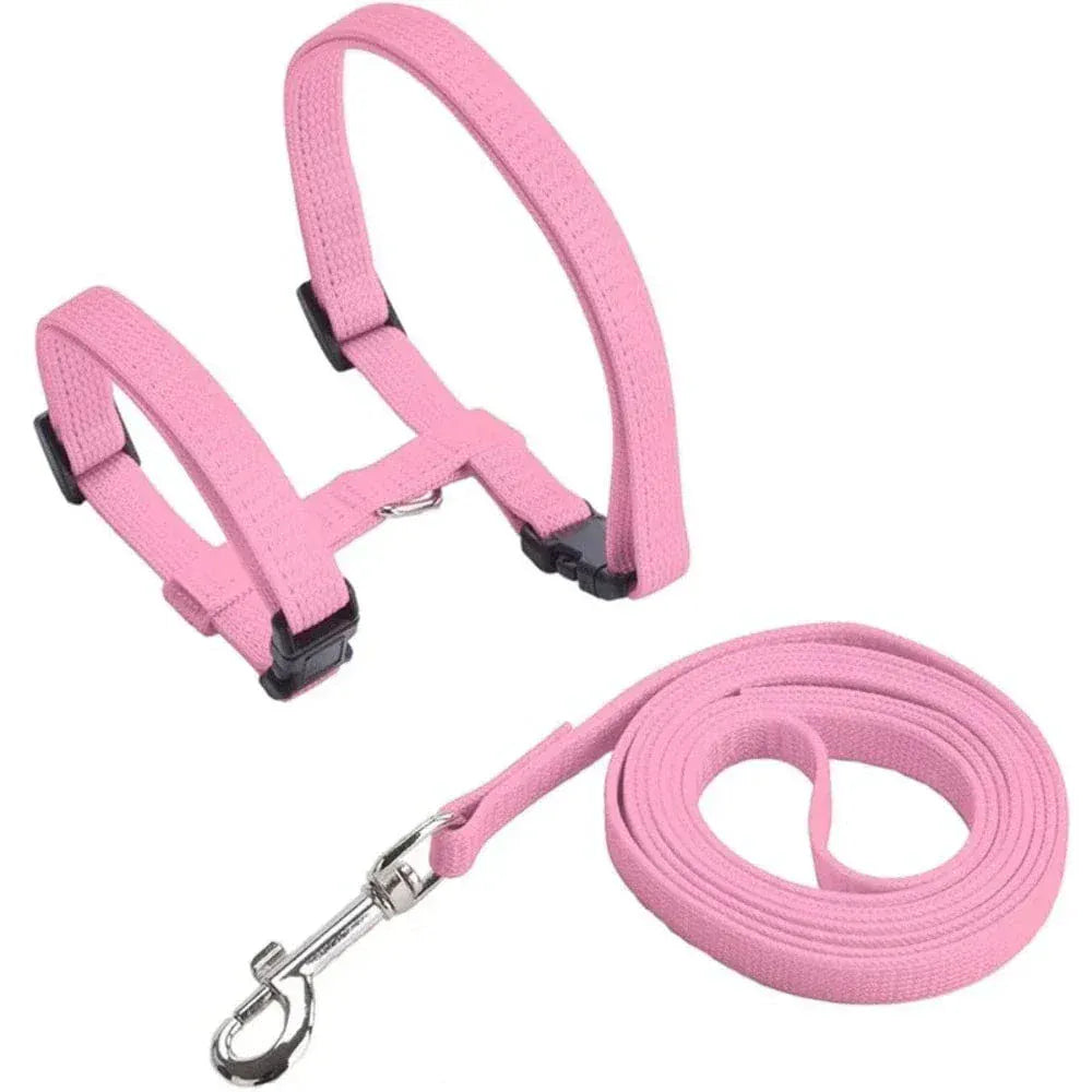 Kitten harness with leash