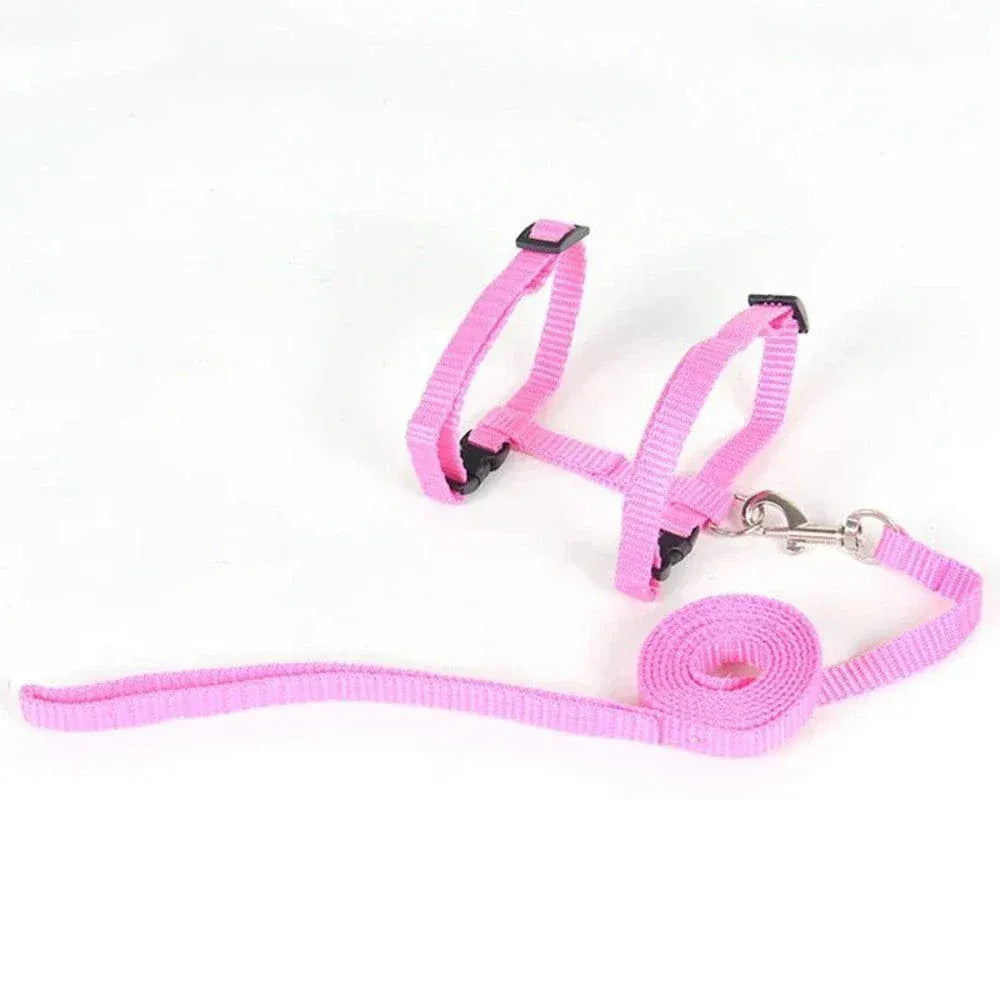 Kitten harness with leash