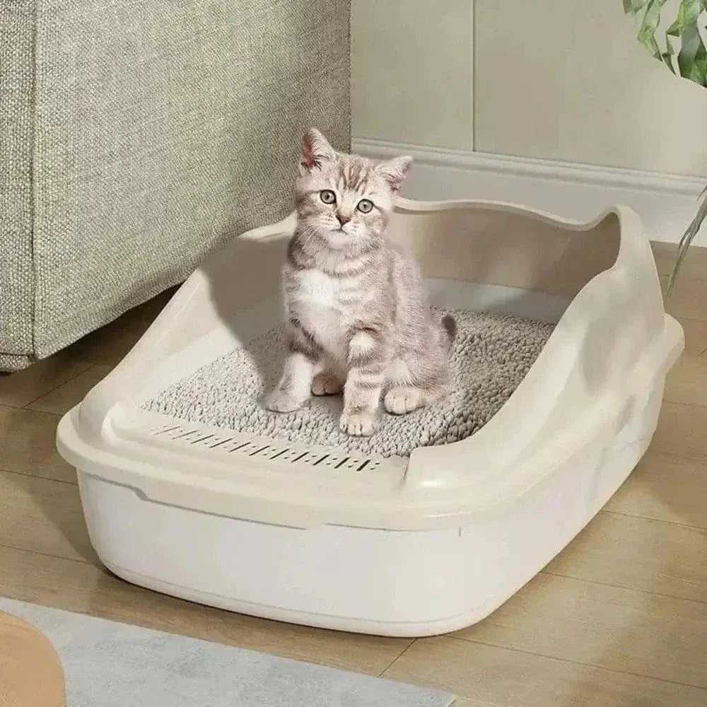 Kitten litter box