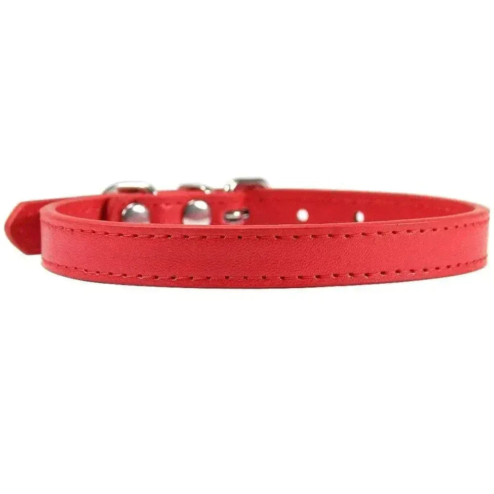 Leather Cat Collar – Elegance & Comfort