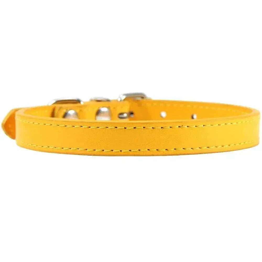 Leather Cat Collar – Elegance & Comfort