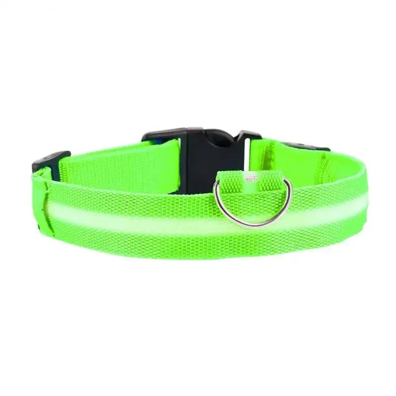 Luminous Cat Collar – Safe & Stylish Night Walks