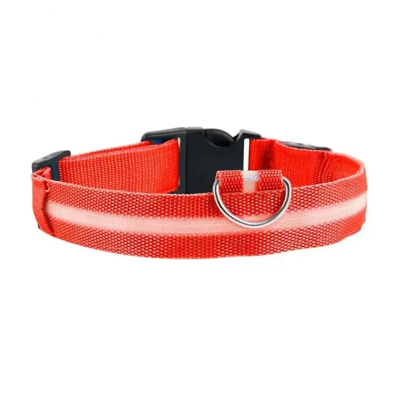 Luminous Cat Collar – Safe & Stylish Night Walks