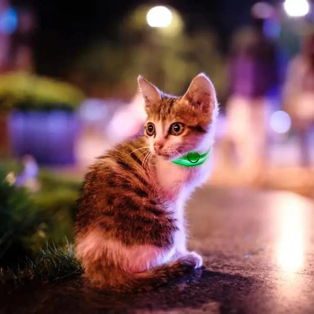 Luminous Cat Collar – Safe & Stylish Night Walks