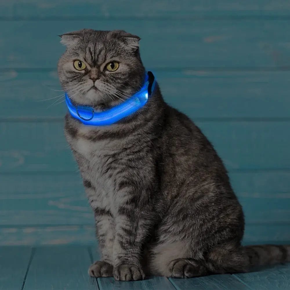 Luminous Cat Collar – Safe & Stylish Night Walks