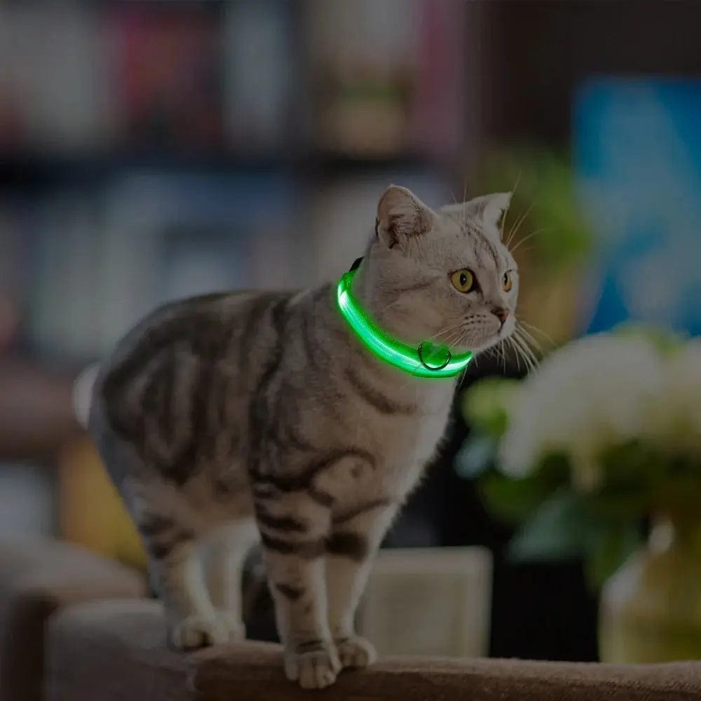Luminous Cat Collar – Safe & Stylish Night Walks