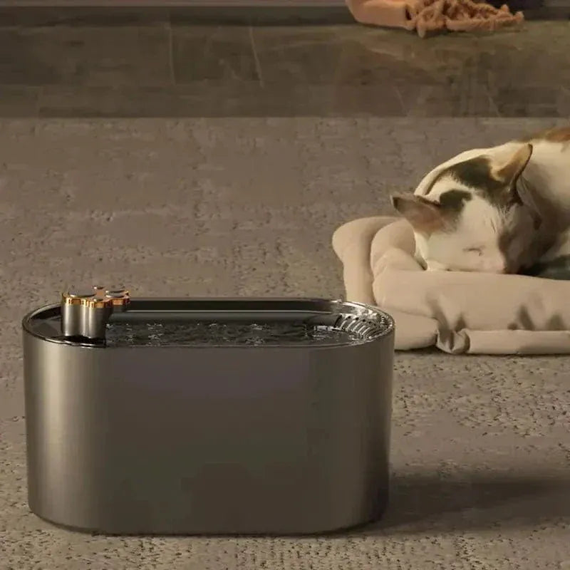 Luminous cat water fountain