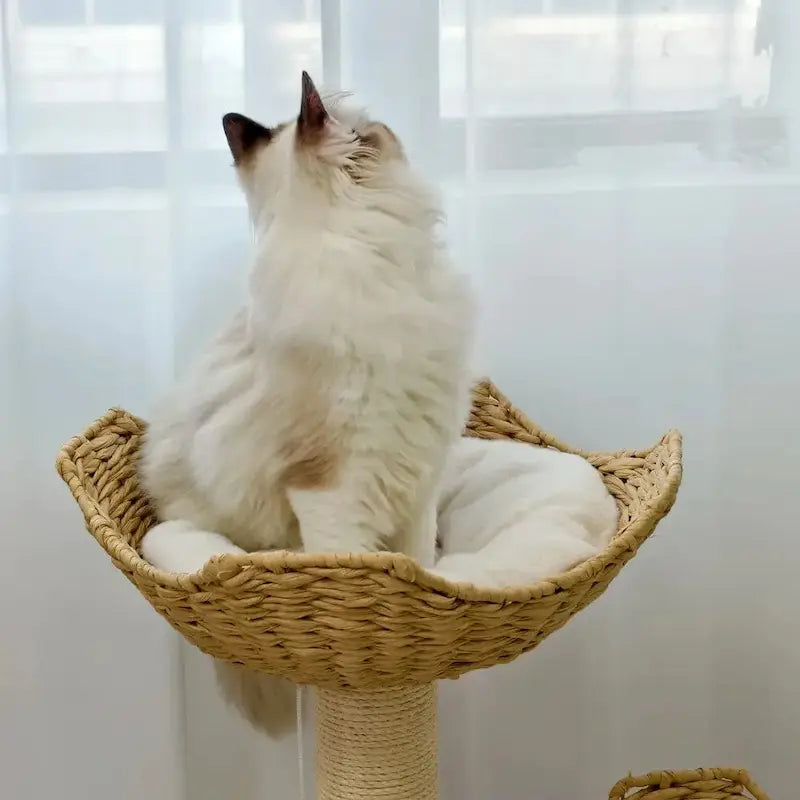 Luxury designer cat tree – elegance & comfort