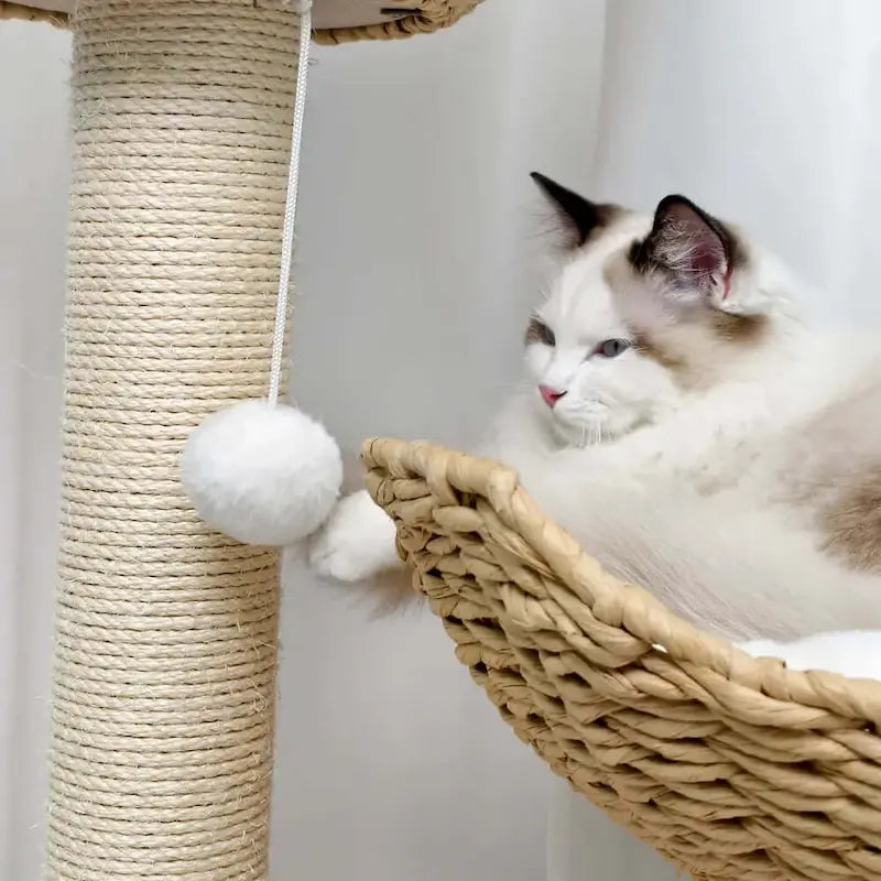 Luxury designer cat tree – elegance & comfort
