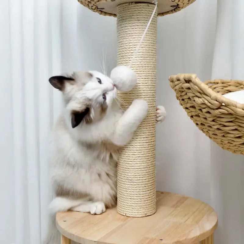 Luxury designer cat tree – elegance & comfort