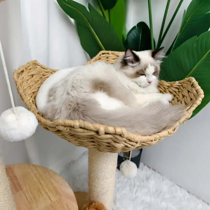 Luxury designer cat tree – elegance & comfort