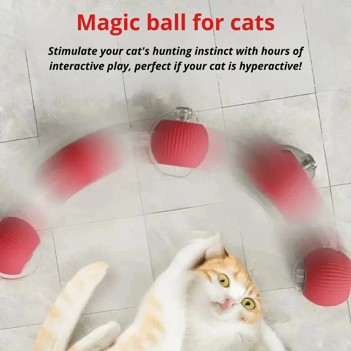 Magic cat ball